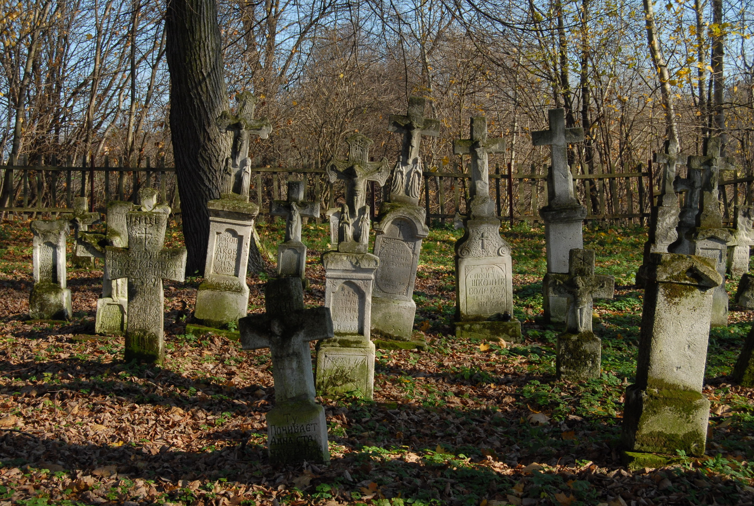 Kolorowe zdjęcie współczesne. Przedstawia cmentarz w lesie. Nagrobki są stare, niektóre pochylają się w bok, lub do przodu. Mają na płytach zdobienia i teksty.