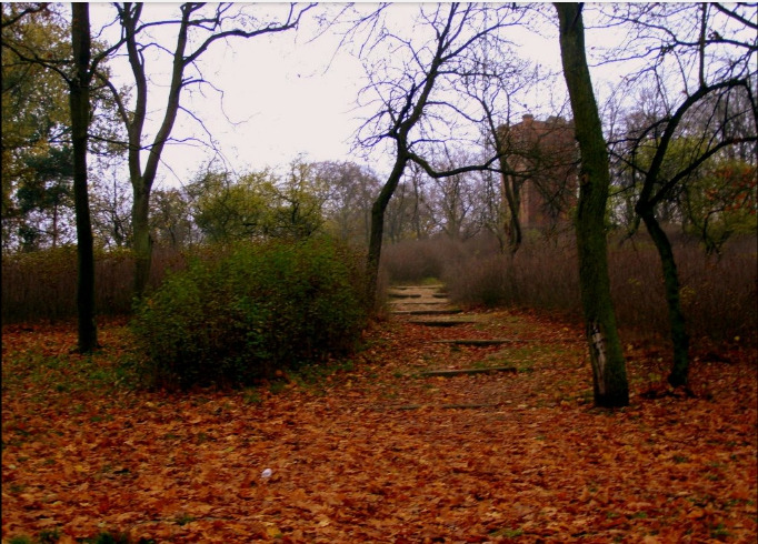 Zdjęcie współczesne. Przedstawia widok na park jesienią. Jest to Park im. Jana III Sobieskiego w Nakle nad Notecią. Imię Jana III Sobieskiego zostało mu nadane najpewniej po II wojnie światowej, nazwa jest po raz pierwszy odnotowana w 1949 roku. W 300. rocznicę odsieczy wiedeńskiej na głazie narzutowym (pomnik przyrody) została odsłonięta tablica pamiątkowa poświęcona temu wydarzeniu.
