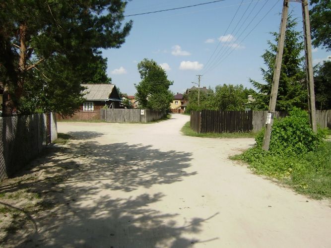 Kolorowe, wspólczesne zdjęcie. Przedstawia wiejską drogę, drewniany dom i murowany dom w oddali. 