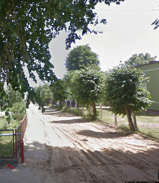 Współczesne zdjęcie. Przedstawia drogę bez asfaltu, przy której rosną drzewa. Jest to Ulica Jana III Sobieskiego w Brzeźnie Szlacheckim. 