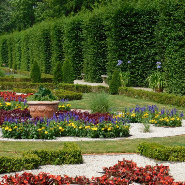 Ogród wilanowski. Na pierwszym planie kolorowe kwiaty i donice.