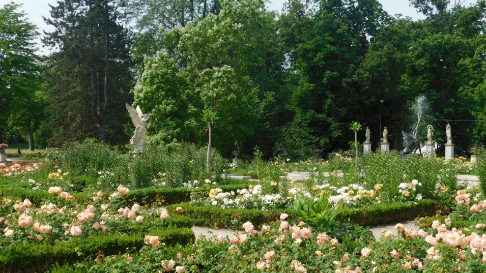 Kolorowe zdjęcie współczesne. Przedstawia widok na ogród różany. 