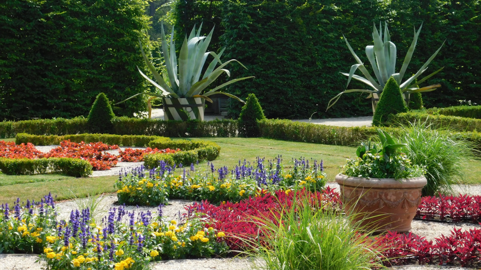 Kolorowe zdjęcie współczesne. Przedstawia widok na ogród kwiatowy. 